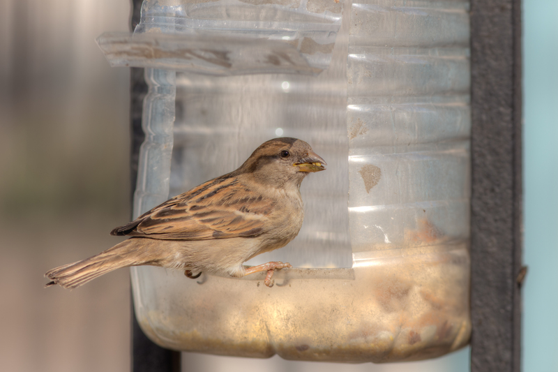 The Elegance of Less: Decluttering and Minimalism